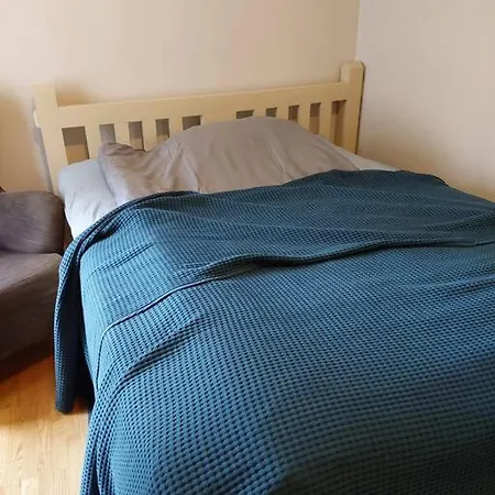 Super Leilighet Med Peis, Gaavstand Til Byen Apartment